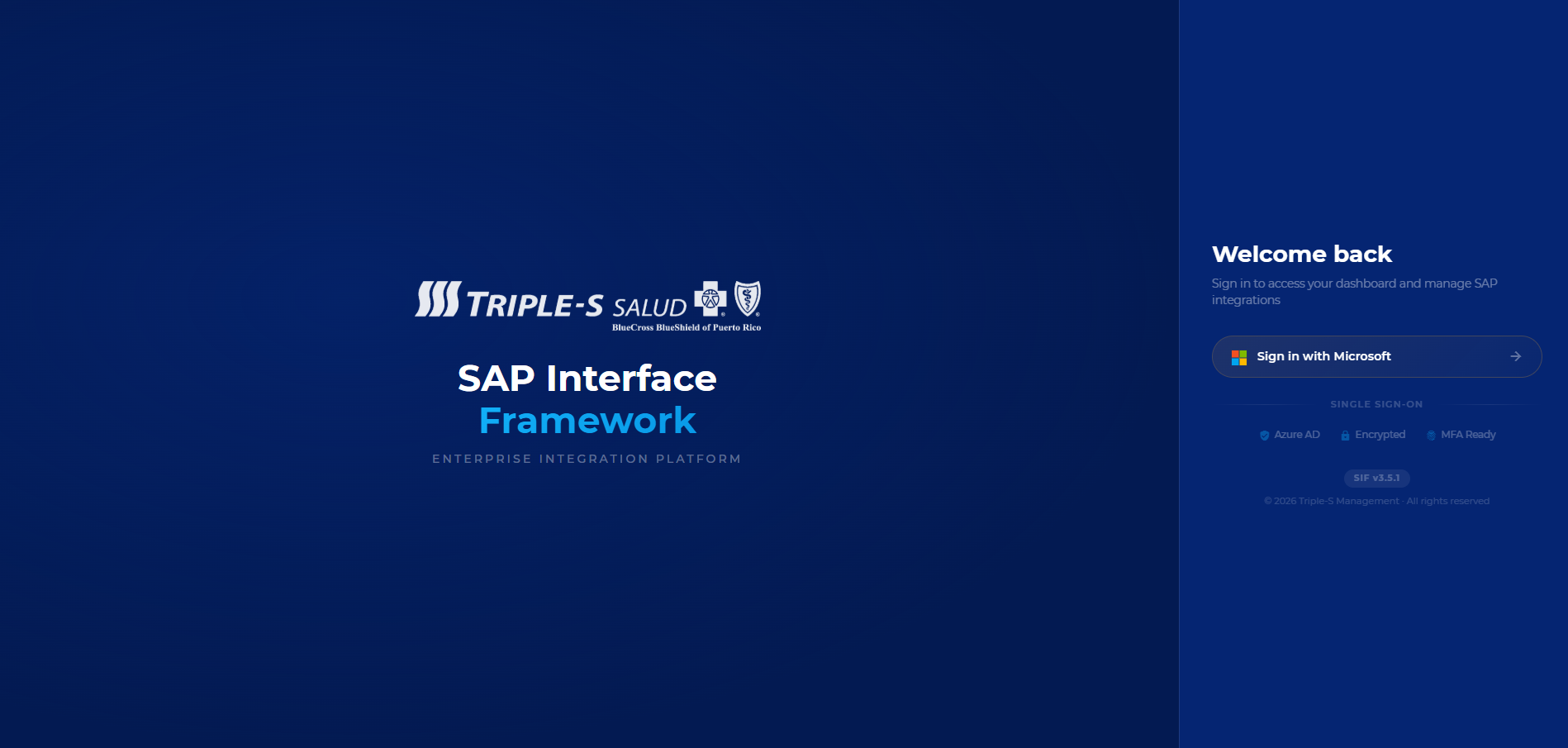 SAP Interface Framework architecture diagram